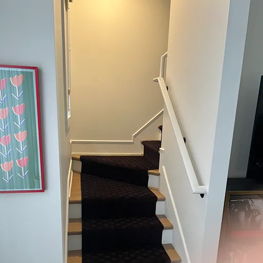 Dark brown stair and entryway carpet MI